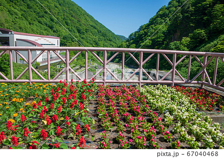 奥清津発電所 二居ダム 花壇 清津川 新緑の景色 新潟県 奥清津発電所 二居ダム 花壇 清津川 新緑の景色 新潟県 67040468