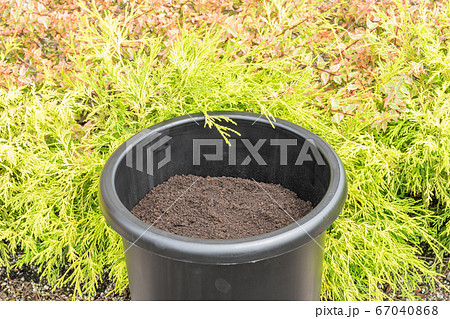 植木鉢に入った腐葉土と土 植木鉢に入った腐葉土と土 67040868
