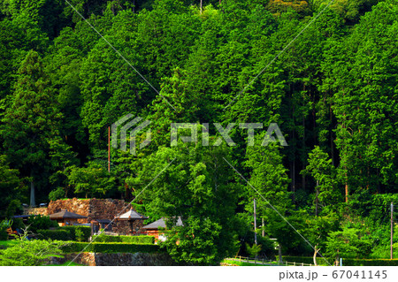 滋賀県近江八幡市、安土城址の風景、安土城跡と緑【6月】 67041145