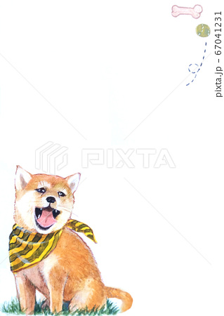 遊びに夢中のかわいい柴犬のイラストのイラスト素材