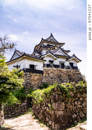 （滋賀県）国宝・彦根城 67041337