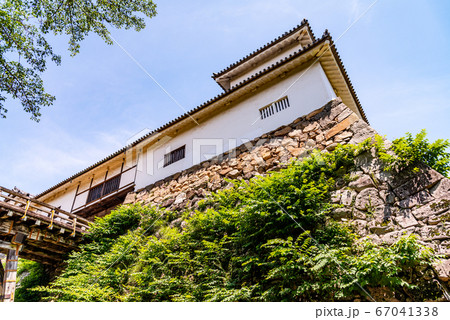 （滋賀県）国宝・彦根城 67041338