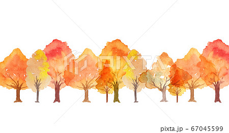 水彩の秋の林のイラスト素材 [67045599] - PIXTA