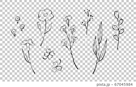 [矢量]手繪花集 67045984
