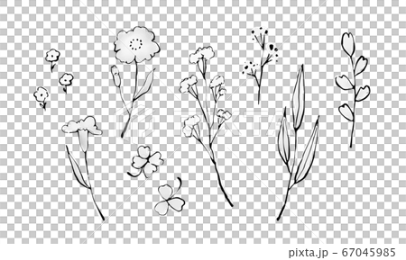 [矢量]手繪花集 67045985