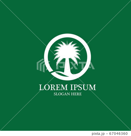 Date tree icon vector illustration 67046360