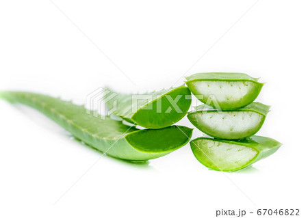 Aloe vera slice isolated on white background, Aloe vera is widely known to relieve sunburn and help heal wounds. It is found in many consumer products including beverages, skin lotion, and cosmetics. Aloe vera slice isolated on white background, Aloe vera is widely known to relieve sunburn and help heal wounds. It is found in many consumer products including beverages, skin lotion, and cosmetics. 67046822