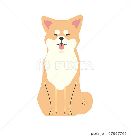 One Akita dog sitting - Stock Illustration [67047765] - PIXTA