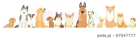 横に一列に並んでいる色々な種類の犬たちのイラスト素材