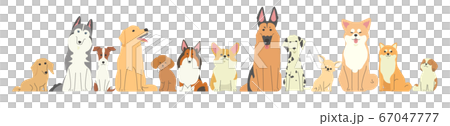横に一列に並んでいる色々な種類の犬たち 67047777