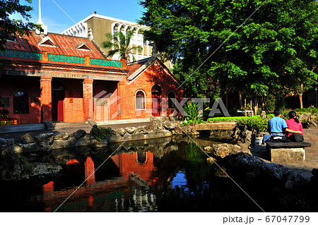 台湾 ハチ たらい 67047799