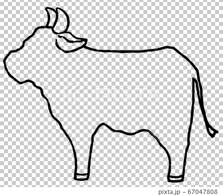 牛の線画(黒色) 牛の線画(黒色) 67047808