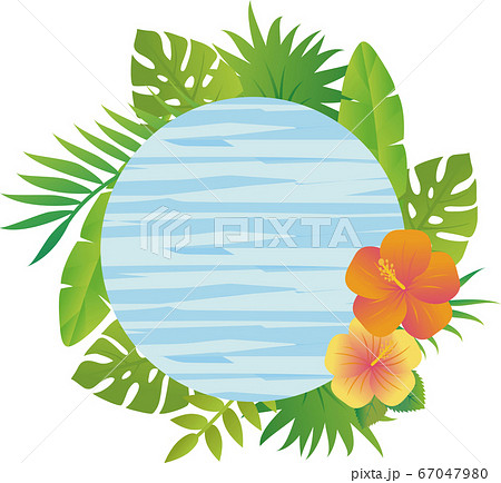 夏 植物 花 フレーム 看板 木目 水色 コピースペースのイラスト素材