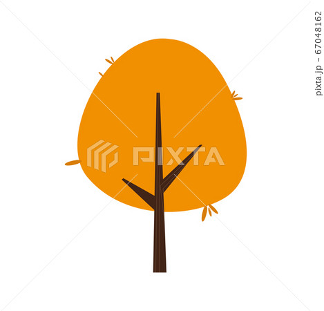 Isolated colored tree icon Isolated colored tree icon 67048162