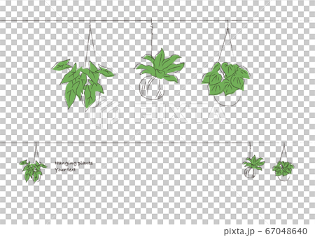 Small story of design Hanging green decorative ruled line 67048640