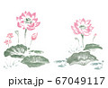 水墨_蓮_カラー 67049117
