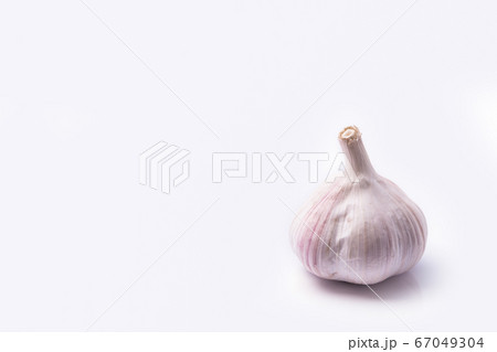 garlic and garlic cloves garlic and garlic cloves 67049304