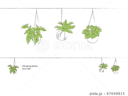 デザインの小ネタ ハンギンググリーンの飾り罫 デザインの小ネタ ハンギンググリーンの飾り罫 67049915