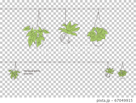 Small story of design Hanging green decorative ruled line 67049915