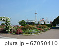 横浜みなとみらい・山下公園・氷川丸とバラと花 67050410