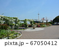 横浜みなとみらい・山下公園・氷川丸とバラのアーチと花 67050412