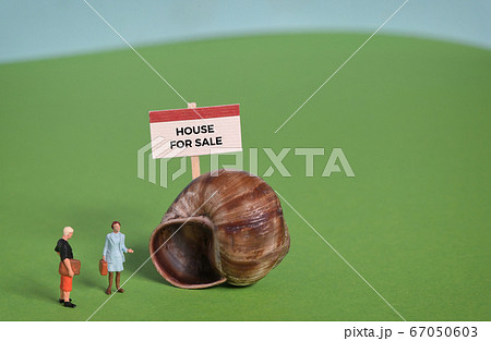 Miniature People Agent Presentation House For Sale Miniature People Agent Presentation House For Sale 67050603