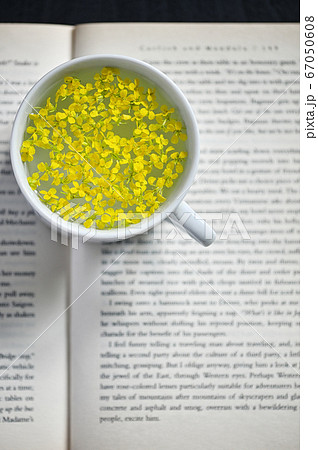 Cup Of Herbal Drink on Open Book Cup Of Herbal Drink on Open Book 67050608