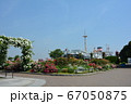 横浜みなとみらい　山下公園バラのアーチと氷川丸 67050875