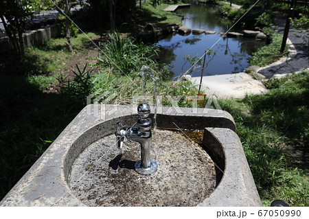 公園の水飲み場と池の写真素材