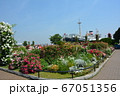 横浜みなとみらい　満開の花壇と氷川丸 67051356