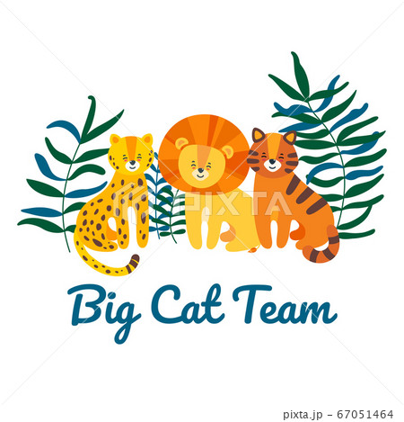 Big Cat Team With Leopard Lion And Tiger のイラスト素材