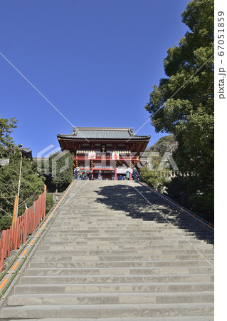 鎌倉　鶴岡八幡宮 67051859