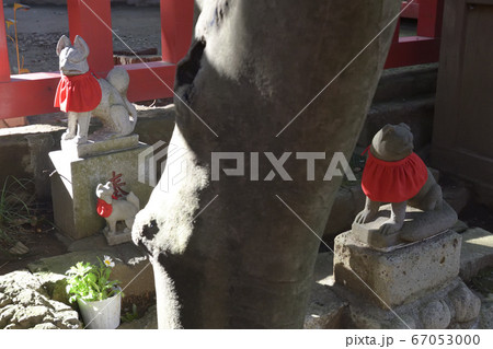 氷川神社境内社 稲荷神社 氷川神社境内社 稲荷神社 67053000