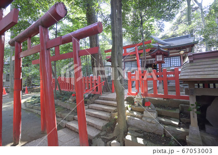 氷川神社境内社　稲荷神社 67053003
