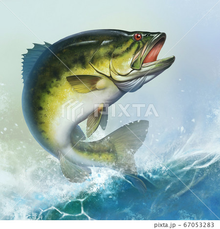 Largemouth Bass jumps out of water realistic illustration. Big bass perch fishing in the usa on a river or lake at the weekend. Square background mobile version of a wave of a lake sunny day. 67053283