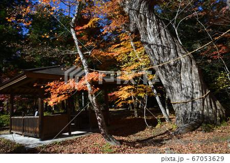湯西川温泉の紅葉　　＃30 67053629