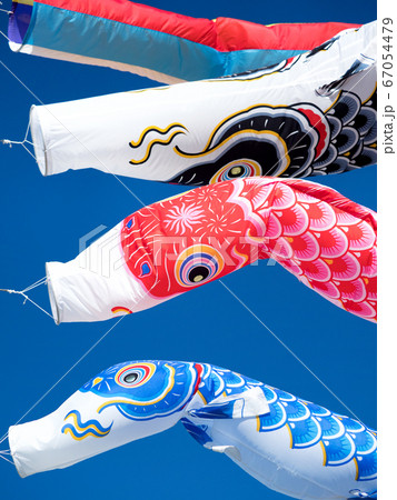 鯉のぼり 鯉のぼり 67054479