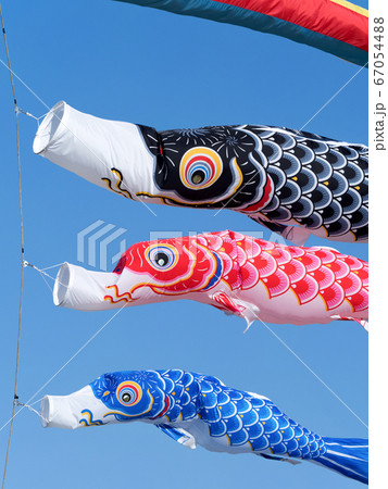 鯉のぼり 鯉のぼり 67054488