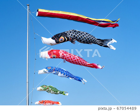 鯉のぼり 鯉のぼり 67054489
