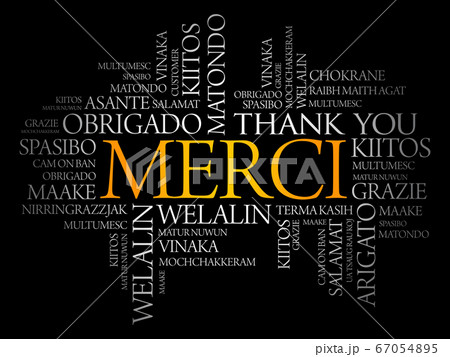 Merci (Thank You in French) Word Cloud Merci (Thank You in French) Word Cloud 67054895