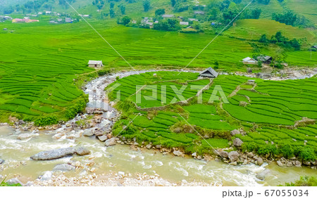 Lao Cai rice fields near Sapa (Chapa) in north 67055034
