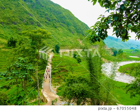 Lao Cai rice fields near Sapa (Chapa) in north Lao Cai rice fields near Sapa (Chapa) in north 67055048