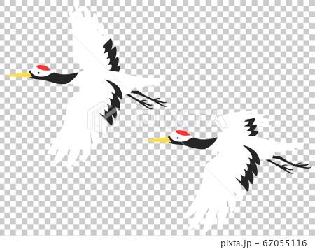 空を飛ぶ2羽の鶴のイラストのイラスト素材