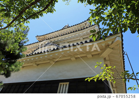 初夏の丸亀城 初夏の丸亀城 67055258