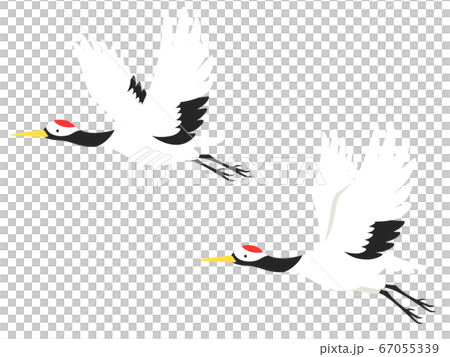 Illustration of two cranes flying 67055339