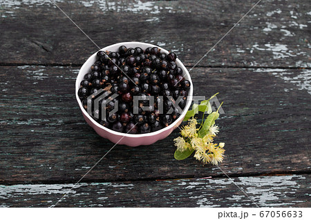Composition with organic black currant in white 67056633