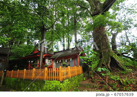 高原熊野神社 高原熊野神社 67057639