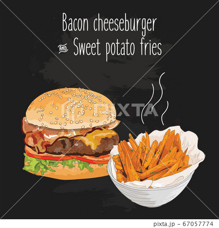 Hand drawn colorful bacon cheeseburger and sweet potato fries 67057774