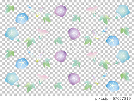 朝顔の花 つぼみ 葉 パターン 背景 イラスト(水彩) 朝顔の花 つぼみ 葉 パターン 背景 イラスト(水彩) 67057819