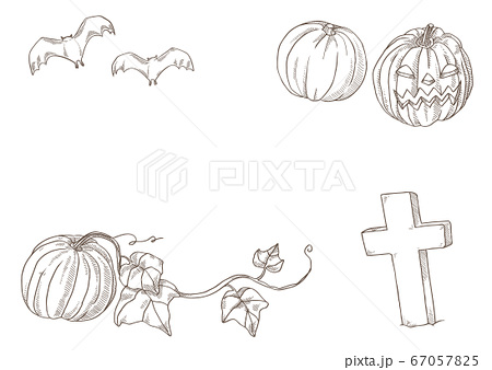 ハロウィンの装飾 おばけかぼちゃ コウモリ 十字架 フレーム イラスト 線画 のイラスト素材